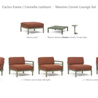 Cactus frame / Cannella cushions