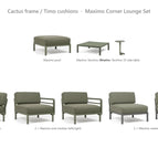 Cactus frame / Timo cushions
