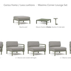 Cactus frame / Lava cushions