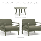 Cactus frame / Timo cushions