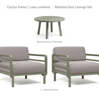 Cactus frame / Lava cushions