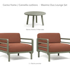 Cactus frame / Cannella cushions