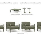 Cactus frame / Timo cushions
