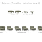 Cactus frame / Timo cushions