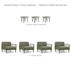 Cactus frame / Timo cushions