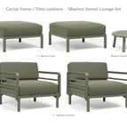 Cactus frame / Timo cushions