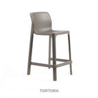 Tortora