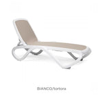 Bianco Tortora