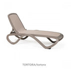 Tortora Tortora