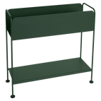 Cedar Green