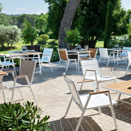 PILOTIS Teak Chair - hospitality