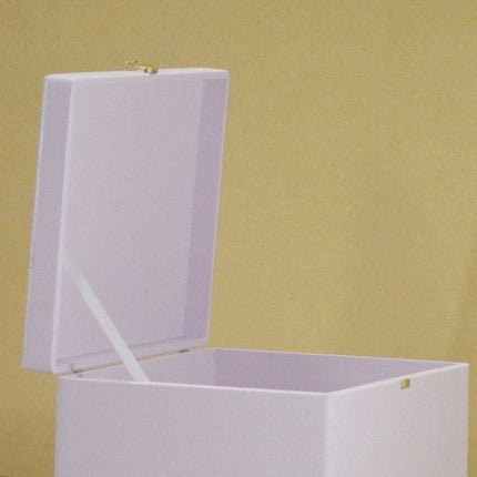 Pink Box PPB1 40 X 30 X 23 cm - hospitality