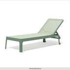 Menta