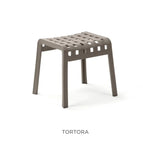 Tortora