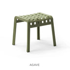 Agave