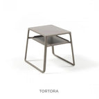 Tortora