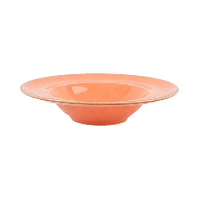 Porland amber pasta plate, 260mm, with a smooth, glossy finish and elegant design, ideal for serving pasta dishes.