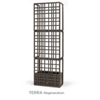 Terra