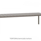 Tortora