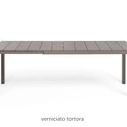 Tortora
