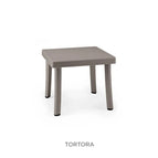 Tortora