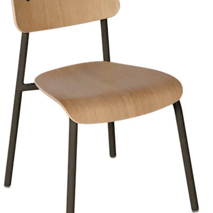 Studie Oak Chair - hospitality