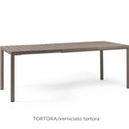 Tortora