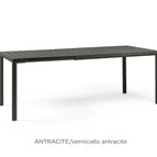 Antracite