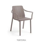 Tortora