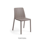 Tortora