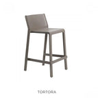 Tortora