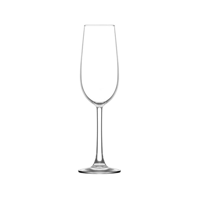 Volare champagne glass, 220 ml - CWDH